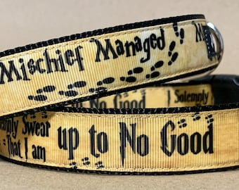 Up To NO Good or Managed Dog Collar