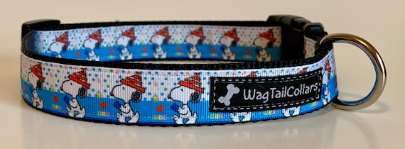 Snoopy Inspired Reading Spring Confetti Dog Collar Etsy