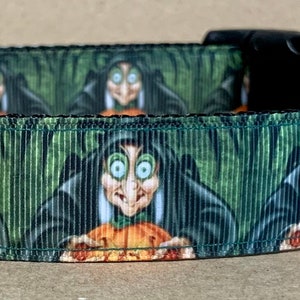 May include: A Halloween-themed dog collar featuring a repeating pattern of a cartoon witch holding a pumpkin against a green and black background. The collar has a black buckle and a silver metal loop. The brand name "WagTailCollars" is displayed on a small black tag.