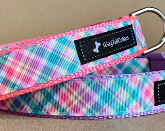 Spring Fling Pastel Dog Collar