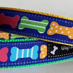 Colorful Dog Kibble Collar