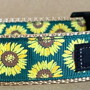 Sunflowers Hunter Green Dog Collar