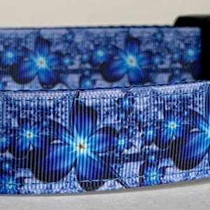 Blue Floral Spray Dog Collar