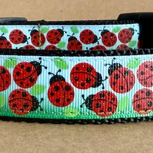 May include: A black dog collar with a light blue band decorated with red ladybugs with black spots and antennae. The collar has a black buckle and a silver metal D-ring for leash attachment.
