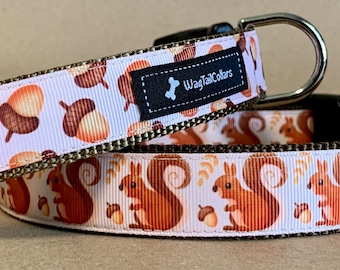 May include: Two dog collars with a white background and a pattern of brown squirrels and acorns. The collars are both brown and have silver hardware. The text "Wag Tail Collars" is printed on both collars.