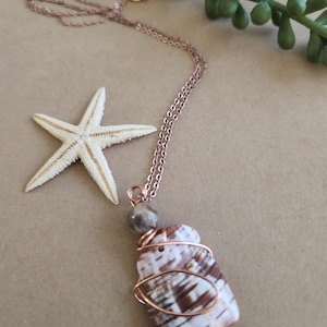Natural True Tulip Seashell Kintsugi Necklace