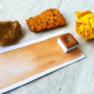 May include: A watercolor pan with a brown paint sample. The pan is sitting on a white surface with a piece of brown paper and two pieces of dried orange-brown plant material.