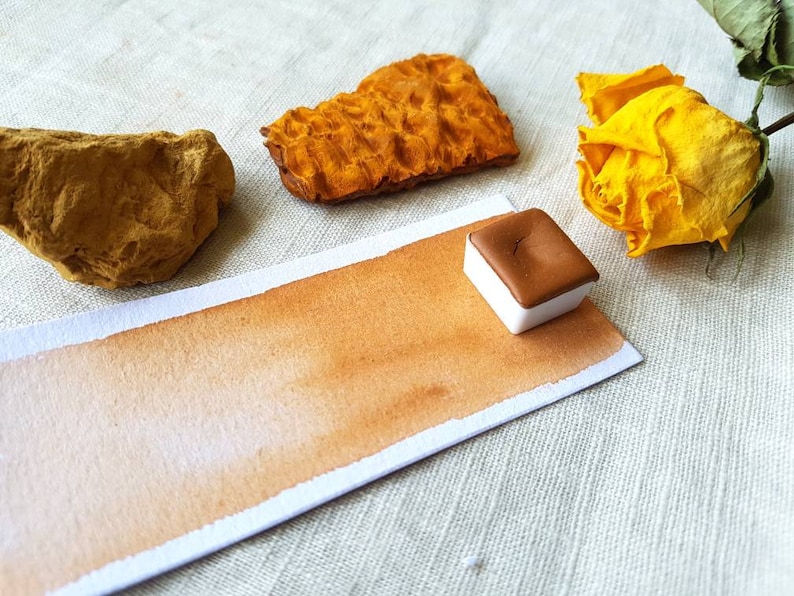 May include: A watercolor pan with a brown paint sample. The pan is sitting on a white surface with a piece of brown paper and two pieces of dried orange-brown plant material.