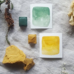 Pu&ograve; includere: Una vista dall'alto di acquerelli, un fiore secco e una roccia. Gli acquerelli sono in piccole vaschette quadrate. I colori sono verde e giallo. Il fiore secco &egrave; una rosa bianca. La roccia &egrave; di colore marrone chiaro.