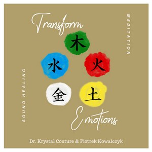 TRANSFORM THE EMOTIONS