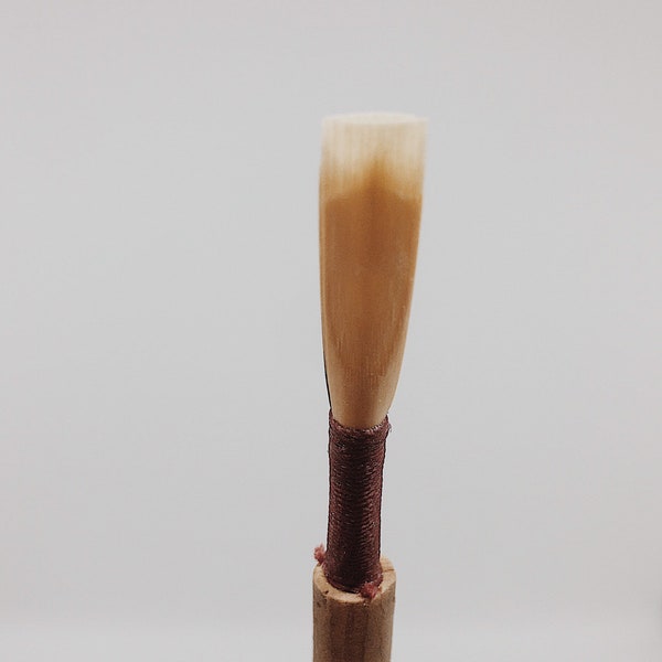 Professional Oboe Reed