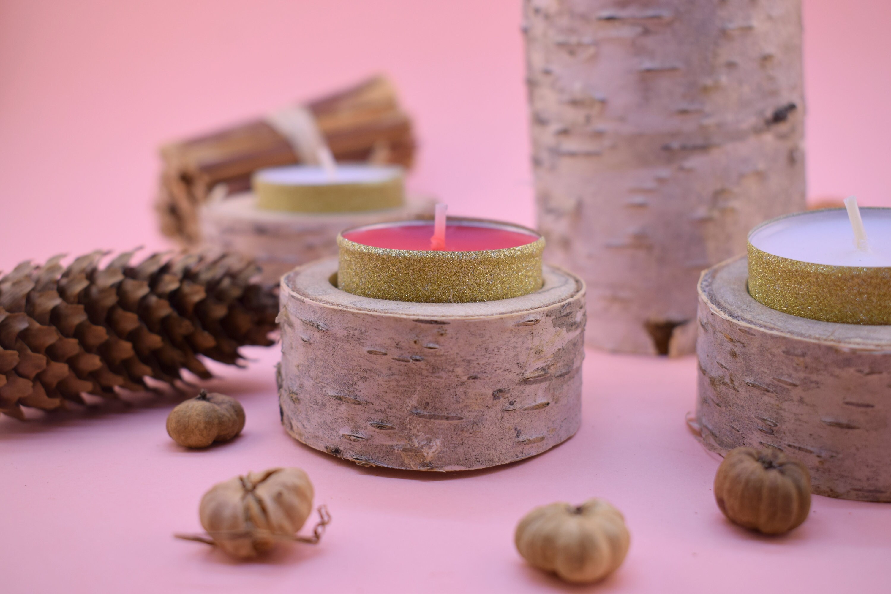 Tree Branch Candle Holders Set of 5 Wooden Rustic Tealight Etsy