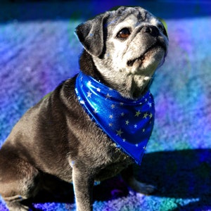 Super Hero Sequin Pet Bandana.  Reversible, adjustable, custom lining. Red, White and Blue Stars