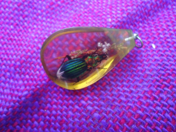 Pendent Large Unusual Scarab Beetle and Heather I… - image 1