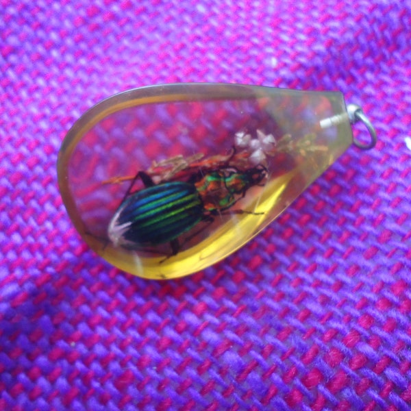 Pendent Large Unusual Scarab Beetle and Heather In Resin Made 50s or 60s Brass Fittings Vintage French Find