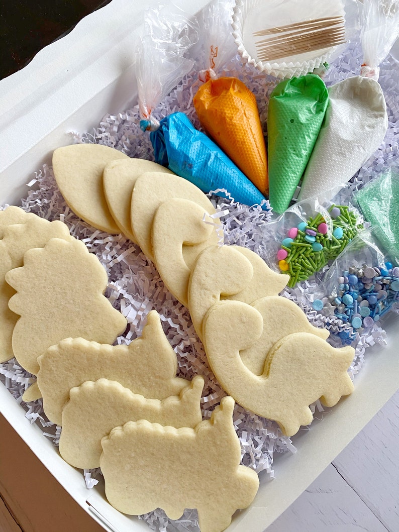 Cookie Decorating Kit, Dinosaur Cookie Decorating Kit, DIY Cookie Kit, Dinosaur birthday boy, Dinosaur birthday girl Boy Colors