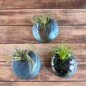 May include: Three small, round ceramic planters with air plants. The planters are glazed in shades of blue and black, with a textured appearance. The air plants have long, green leaves.