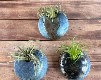 May include: Three small, round ceramic planters with air plants. The planters are glazed in shades of blue and black, with a textured appearance. The air plants have long, green leaves.