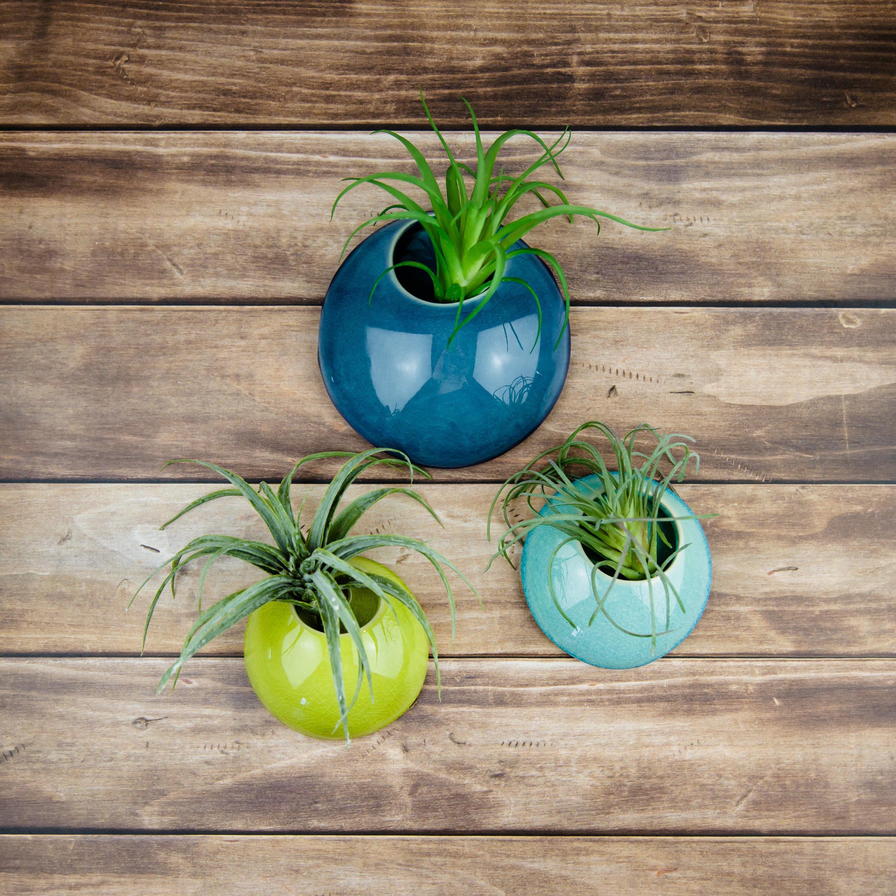 Vase mural fait main en céramique émaillée craquelée | Support pour plante aérienne