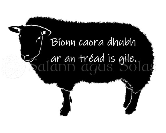 Irish Black Sheep Quote Printable Digital Download Etsy