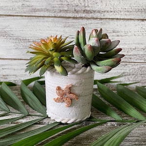 Puede incluir: Una maceta de cerámica blanca con un borde de cuerda y un diseño de estrella de mar, que contiene dos pequeñas plantas suculentas. La maceta está sobre una hoja de palmera verde.