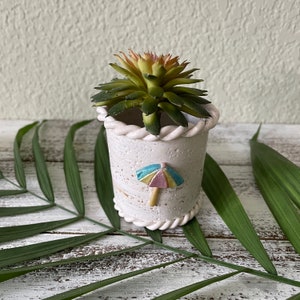 May include: A small white ceramic planter with a rope-like rim and a colorful beach umbrella design. The planter is filled with a green succulent plant.