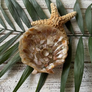 Abalone Shell Resin Ring Dish: Coastal Trinket Bowl