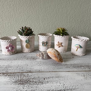 May include: Five white ceramic planters with different beach-themed designs. Each planter has a small succulent plant growing inside. The planters are arranged in a row on a white wooden surface. There are two seashells in the foreground.