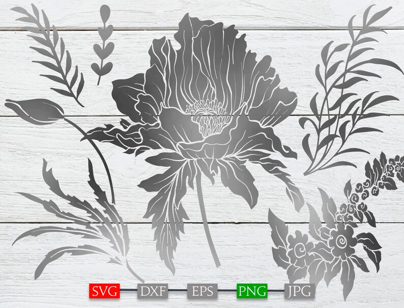 Free Free 338 Poppy Flower Svg Cutting File SVG PNG EPS DXF File