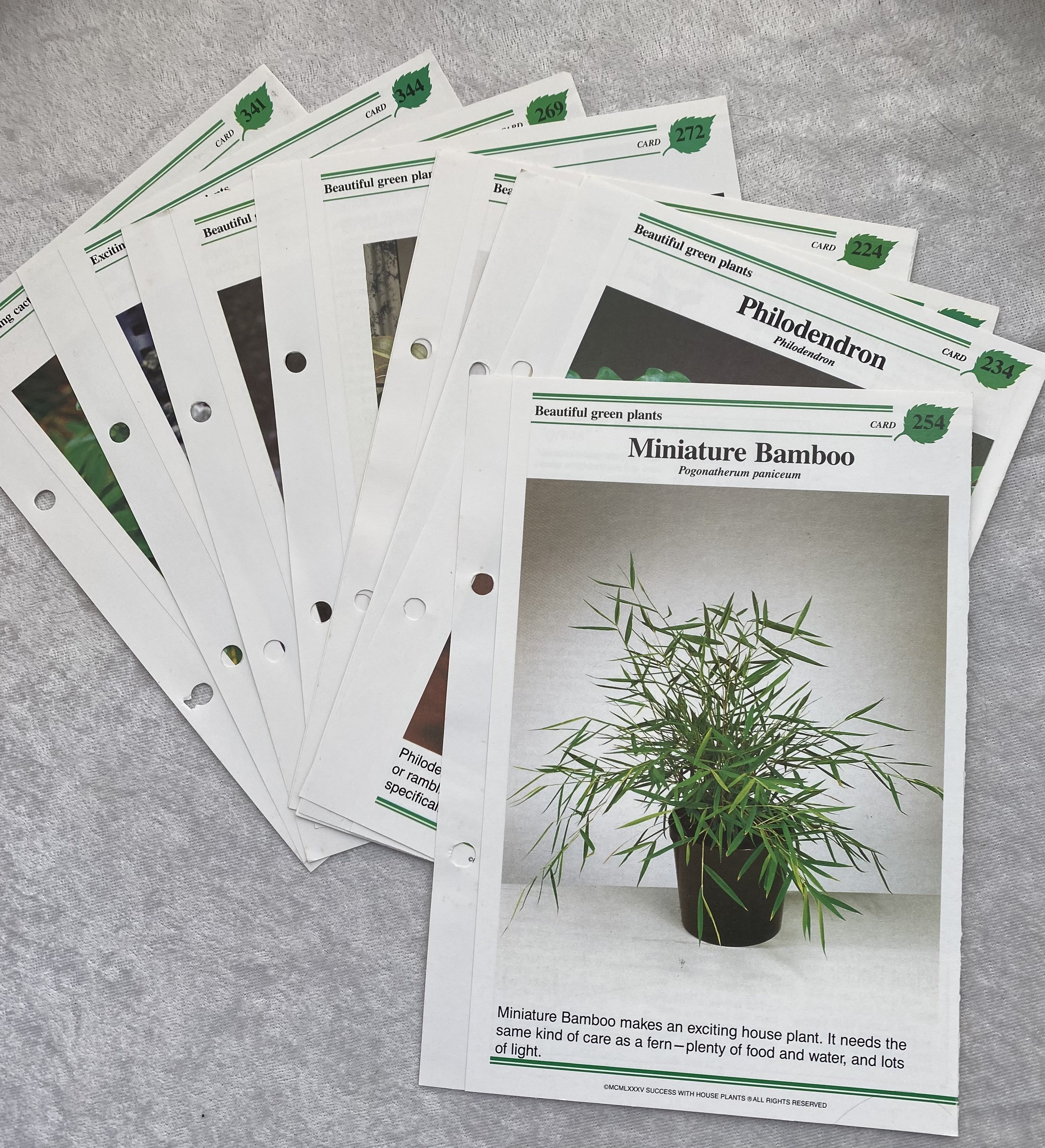 20 Plant Cards for Crafting - Etsy