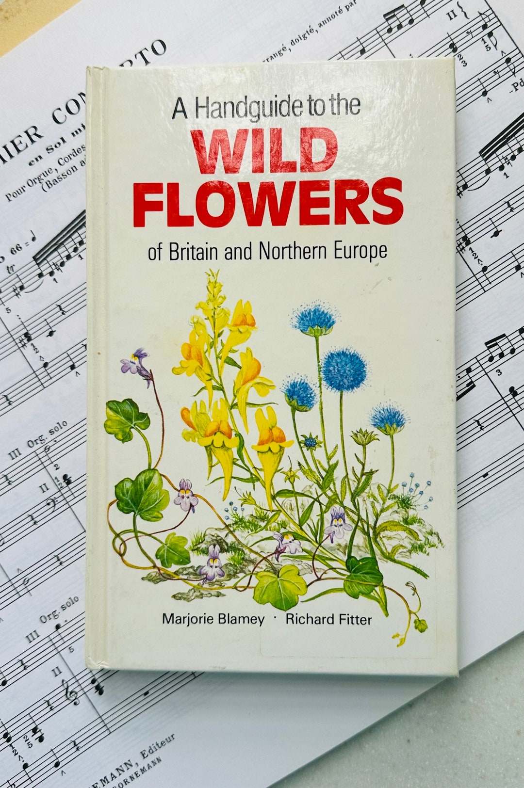 A Handguide to the Wildflowers of Britian and Northern
