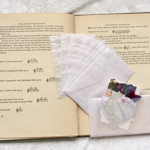 Small Glassine Envelopes