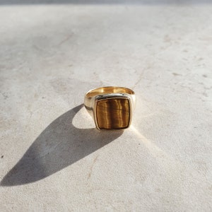 Tiger's eye | Ray Signet Ring | Gold Vermeil and Sterling Silver