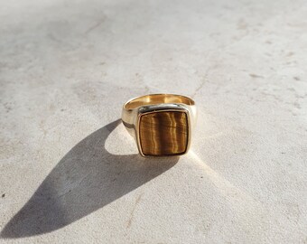 Tiger's eye | Ray Signet Ring | Gold Vermeil and Sterling Silver