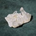 see more listings in the Crystals section