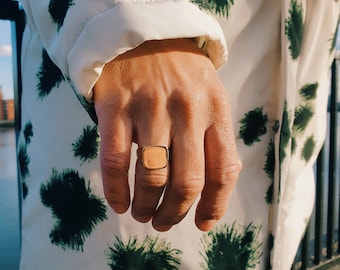 Tokyo Signet Ring | Gold Vermeil and  Sterling Silver