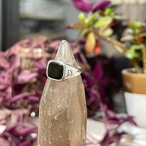 May include: A silver ring featuring a square, black onyx gemstone. The ring is engraved with the initials "TY". It is displayed on a clear, pointed stand, with a blurred background of plants.