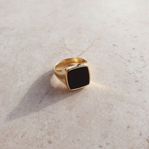 Onyx Ray Signet Ring Gold Vermeil and Sterling Silver image 2