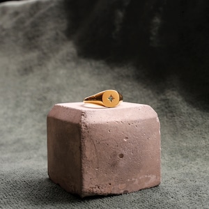 Nara Star Emerald Signet Ring
