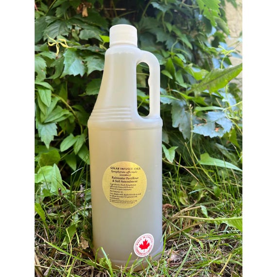 Symphytum officinale (Beinwell) Regenwasser-Dnger & Bodennderung 1L -  Etsy.de