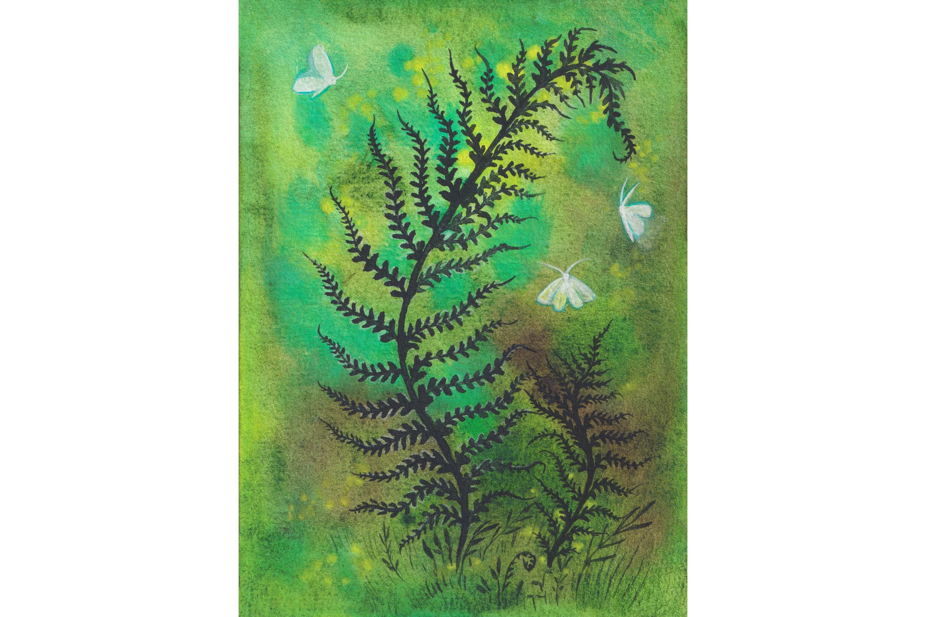 Farn & Schmetterling Aquarellmalerei: Tiny Woodland Art, 14x10cm - Etsy.de