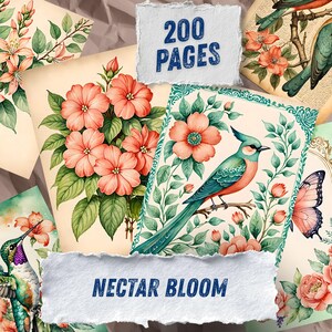 Pu&ograve; includere: Una collezione di stampe artistiche ad acquerello con illustrazioni floreali e di uccelli. Le stampe mostrano fiori rosa e pesca, colibr&igrave; e uccelli. Il testo "200 PAGES" e "NECTAR BLOOM" &egrave; visibile.
