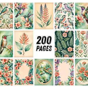 Pu&ograve; includere: Una collezione di illustrazioni ad acquerello con uccelli, fiori ed elementi botanici. Le immagini includono colibr&igrave;, composizioni floreali e cornici decorative. Il testo "200 PAGES" &egrave; presente. La tavolozza dei colori comprende verdi, rosa e blu.