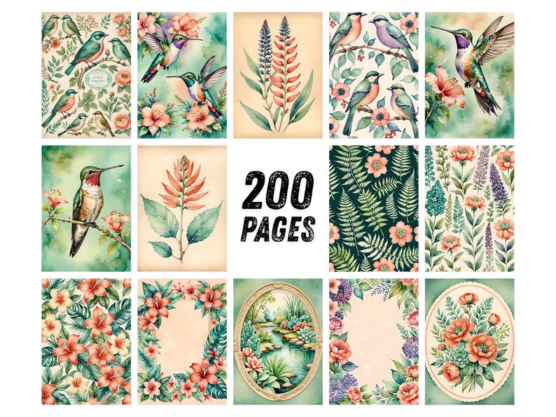 Pu&ograve; includere: Una collezione di illustrazioni ad acquerello con uccelli, fiori ed elementi botanici. Le immagini includono colibr&igrave;, composizioni floreali e cornici decorative. Il testo "200 PAGES" &egrave; presente. La tavolozza dei colori comprende verdi, rosa e blu.