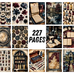 Gothic Junk Journal Pages, Dark Academia Scrapbook Paper, Halloween Raven Printable Ephemera, Moody Skull Watercolor Witchy Art Journal Kit image 8