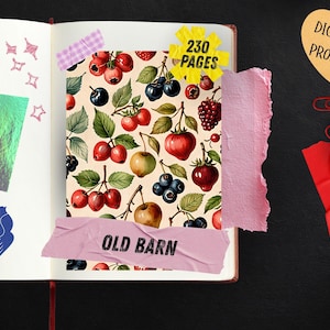 May include: An open notebook featuring a fruit-patterned page with cherries, berries, and apples. The page includes a yellow starburst sticker labeled 230 PAGES and a pink tape strip labeled OLD BARN. Decorative elements include a blue bird, a green iridescent rectangle, a beige circle, pink star outlines, and a heart-shaped sticker labeled DIGITAL PRODUCT.