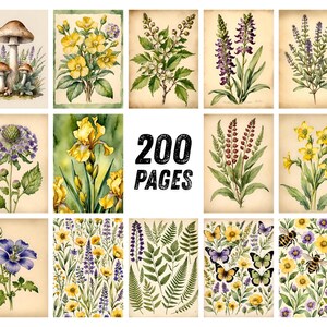 May include: A collection of botanical watercolor illustrations featuring various flowers, mushrooms, and foliage. The images have a vintage aesthetic, with a neutral background and the text "200 PAGES" in the center.