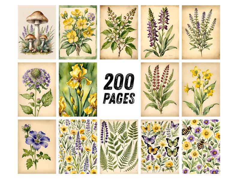 May include: A collection of botanical watercolor illustrations featuring various flowers, mushrooms, and foliage. The images have a vintage aesthetic, with a neutral background and the text "200 PAGES" in the center.