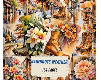 May include: A collage of watercolour illustrations featuring autumn landscapes, orange flowers, and brown lace-up boots on wet city streets. A central rectangular label displays the text RAINBOOTS WEATHER and 164 PAGES in a bold blue and black font.