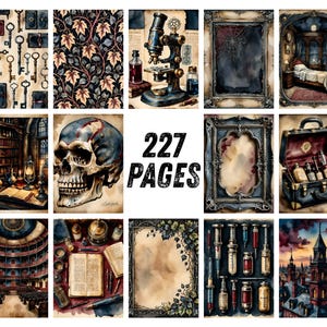 Gothic Junk Journal Pages, Dark Academia Scrapbook Paper, Halloween Raven Printable Ephemera, Moody Skull Watercolor Witchy Art Journal Kit image 9